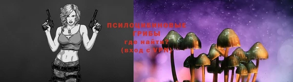 ГАЛЛЮЦИНОГЕННЫЕ ГРИБЫ Алексин