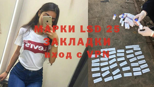 ГАЛЛЮЦИНОГЕННЫЕ ГРИБЫ Алексин