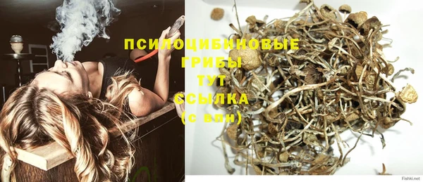 ГАЛЛЮЦИНОГЕННЫЕ ГРИБЫ Алексин