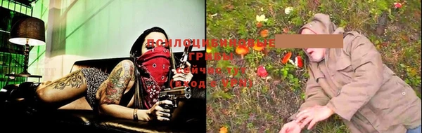 ГАЛЛЮЦИНОГЕННЫЕ ГРИБЫ Алексин