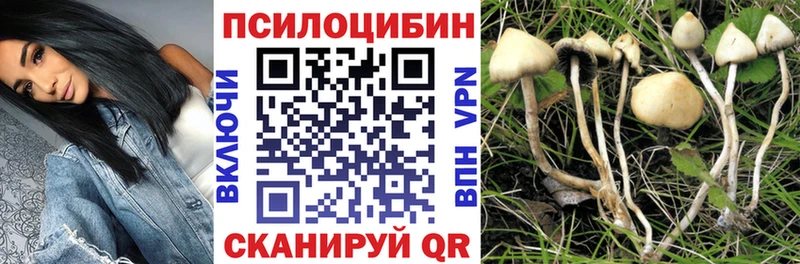 хочу   Бакал  darknet клад  Псилоцибиновые грибы Magic Shrooms 